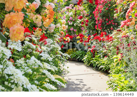 Hirakata Park: Rose Garden in Full Bloom 139614449