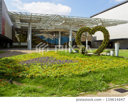 Large flowerbed at Nagai Botanical Garden 139614847