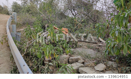 Historic stone at tilla jogian where the legendary ranjha sat in nature 139614951