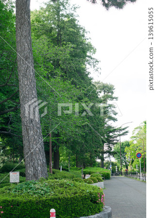 神奈川縣相模原市相模小野中央公園的鬱鬱蔥蔥綠植和高聳入雲的公寓大樓 神奈川縣相模原市相模小野中央公園的鬱鬱蔥蔥綠植和高聳入雲的公寓大樓 139615055