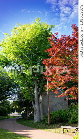 Fresh greenery and towering high-rise apartments in Sagami-Ono Central Park, Sagamihara City, Kanagawa Prefecture Fresh greenery and towering high-rise apartments in Sagami-Ono Central Park, Sagamihara City, Kanagawa Prefecture 139615078