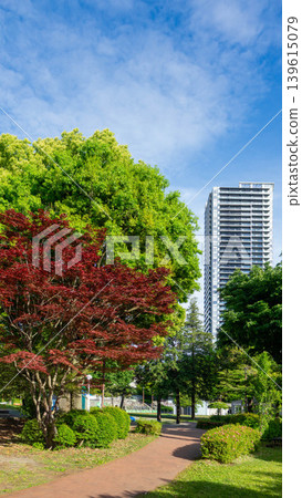 神奈川縣相模原市相模小野中央公園的鬱鬱蔥蔥綠植和高聳入雲的公寓大樓 139615079