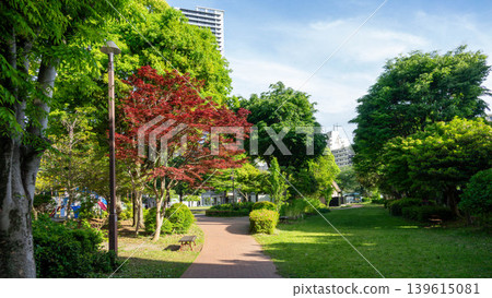 Fresh greenery and towering high-rise apartments in Sagami-Ono Central Park, Sagamihara City, Kanagawa Prefecture Fresh greenery and towering high-rise apartments in Sagami-Ono Central Park, Sagamihara City, Kanagawa Prefecture 139615081