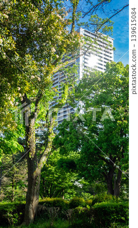 Fresh greenery and towering high-rise apartments in Sagami-Ono Central Park, Sagamihara City, Kanagawa Prefecture Fresh greenery and towering high-rise apartments in Sagami-Ono Central Park, Sagamihara City, Kanagawa Prefecture 139615084