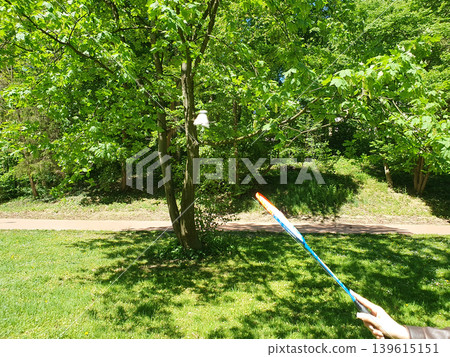 Badminton game in sunny park: shuttlecock in flight and hand with racket on green trees background Badminton game in sunny park: shuttlecock in flight and hand with racket on green trees background 139615151