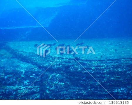 Beautiful underwater photographs Beautiful underwater photographs 139615185