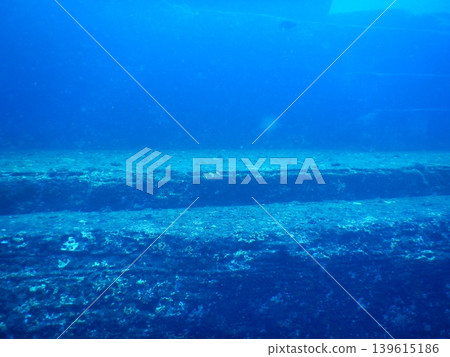 Beautiful underwater photographs Beautiful underwater photographs 139615186