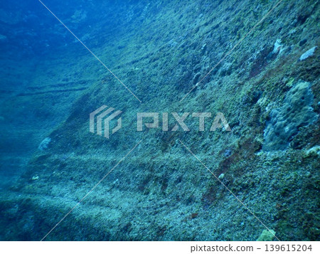 美麗的水下照片 美麗的水下照片 139615204