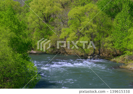 從石山橋眺望豐平川_0618B 從石山橋眺望豐平川_0618B 139615338