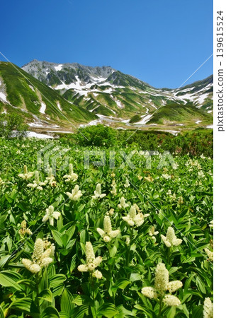 View of the Tateyama mountain range in summer 139615524