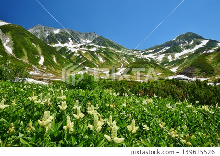 View of the Tateyama mountain range in summer 139615526