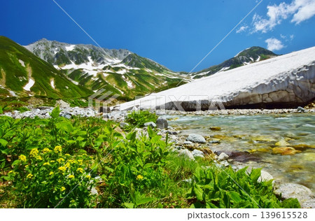 View of the Tateyama mountain range in summer 139615528