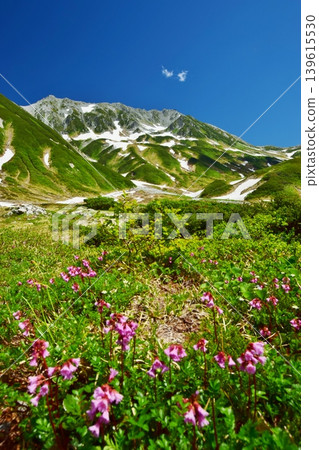 View of the Tateyama mountain range in summer 139615530