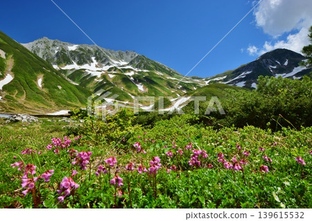 View of the Tateyama mountain range in summer 139615532