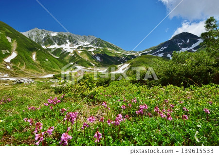 View of the Tateyama mountain range in summer View of the Tateyama mountain range in summer 139615533