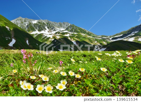 夏季的立山山脈景色 夏季的立山山脈景色 139615534