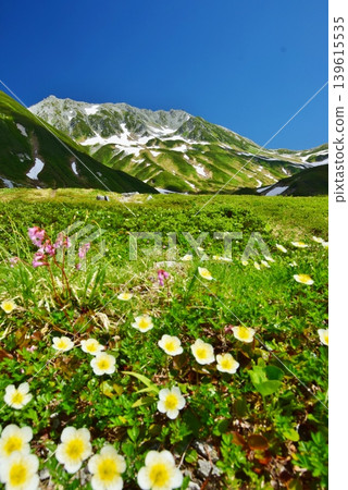 View of the Tateyama mountain range in summer View of the Tateyama mountain range in summer 139615535