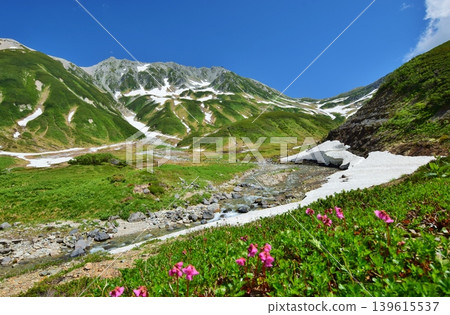 View of the Tateyama mountain range in summer 139615537