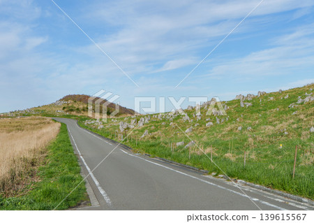 四國喀斯特風景公路:穿越喀斯特高原的高地公路 四國喀斯特風景公路:穿越喀斯特高原的高地公路 139615567