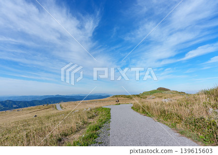 Walking trails leading to the grasslands of Shikoku Karst and breathtaking scenery Walking trails leading to the grasslands of Shikoku Karst and breathtaking scenery 139615603