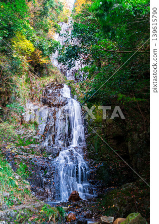 [Japan's Top 100 Waterfalls] Jōsei Falls, Late Autumn Scenery 3, Sakugi-cho, Miyoshi City, Hiroshima Prefecture 139615790