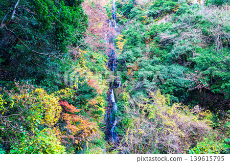 [Japan's Top 100 Waterfalls] Jōsei Falls: Late Autumn Foliage and Waterfall 1, Sakugi-cho, Miyoshi City, Hiroshima Prefecture 139615795