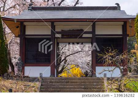 Cherry blossoms in full bloom, seen through the gate of Ogamiyama Denshiin Temple, located on a hill overlooking the Kofu Basin in Kamimiyaji, Minami-Alps City, Yamanashi Prefecture. Cherry blossoms in full bloom, seen through the gate of Ogamiyama Denshiin Temple, located on a hill overlooking the Kofu Basin in Kamimiyaji, Minami-Alps City, Yamanashi Prefecture. 139616282
