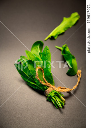 fresh green sorrel leaves on a dark background 139617071