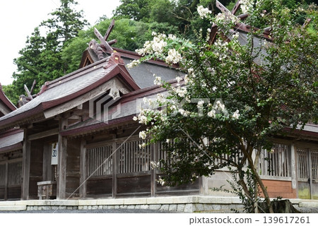 出雲的佐佐神社，紫薇花盛開。 139617261