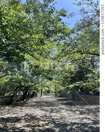 綠樹環繞的公園長廊 綠樹環繞的公園長廊 139617263