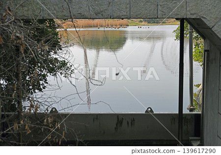 A tranquil pond viewed through a viewing window; a crane reflected on the water's surface—a scene from the bird sanctuary. A tranquil pond viewed through a viewing window; a crane reflected on the water's surface—a scene from the bird sanctuary. 139617290