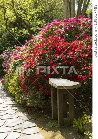 Stone bench inviting stroll through blooming Prague garden 139617485