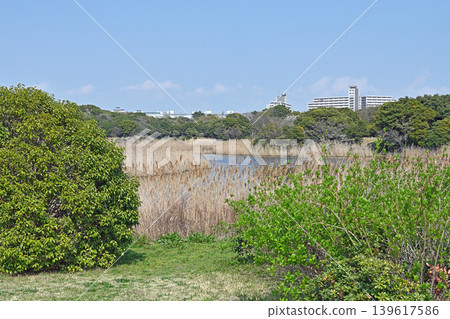 海邊長廊和簡易帳篷;輕鬆的度假景象,遠處還能看到對岸的小鎮。 海邊長廊和簡易帳篷;輕鬆的度假景象,遠處還能看到對岸的小鎮。 139617586