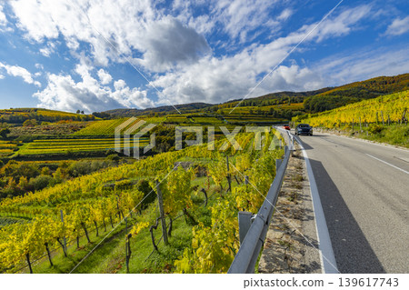 Wachau valley vineyards with cars driving on Weinweg road Wachau valley vineyards with cars driving on Weinweg road 139617743