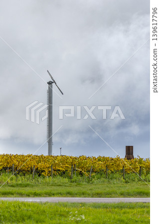 Wind turbine standing over Maligny vineyard in autumn Wind turbine standing over Maligny vineyard in autumn 139617796