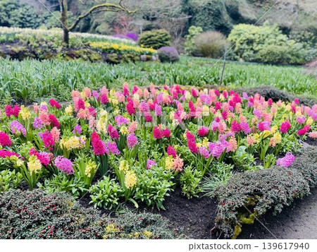 五顏六色的花園 139617940