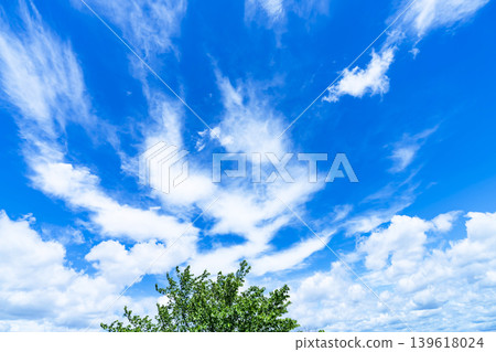 Springtime blue sky, clouds, and fresh green leaves Springtime blue sky, clouds, and fresh green leaves 139618024