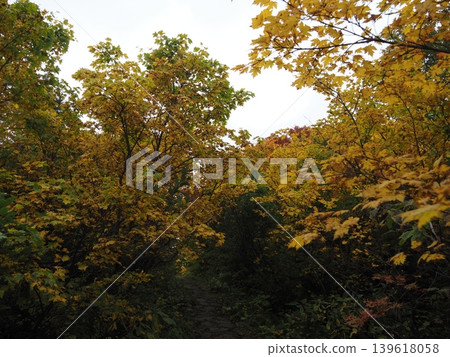 Mount Kurikoma in early October (Ichinoseki City, Iwate Prefecture; Kurihara City, Miyagi Prefecture; Higashinaruse Village, Akita Prefecture) 139618058