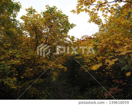 10月上旬的栗駒山(岩手縣一關市、宮城縣栗原市、秋田縣東成瀨村) 10月上旬的栗駒山(岩手縣一關市、宮城縣栗原市、秋田縣東成瀨村) 139618059