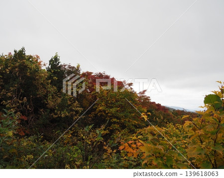 10月上旬的栗駒山(岩手縣一關市、宮城縣栗原市、秋田縣東成瀨村) 10月上旬的栗駒山(岩手縣一關市、宮城縣栗原市、秋田縣東成瀨村) 139618063
