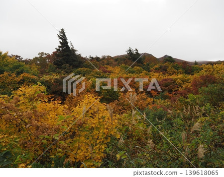 10月上旬的栗駒山(岩手縣一關市、宮城縣栗原市、秋田縣東成瀨村) 10月上旬的栗駒山(岩手縣一關市、宮城縣栗原市、秋田縣東成瀨村) 139618065