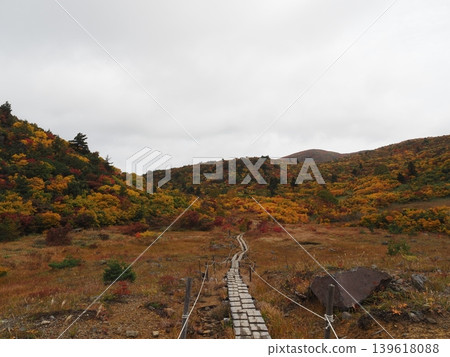 10月上旬的栗駒山（岩手縣一關市、宮城縣栗原市、秋田縣東成瀨村） 139618088