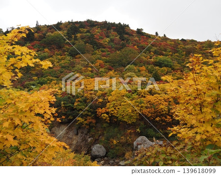 Mount Kurikoma in early October (Ichinoseki City, Iwate Prefecture; Kurihara City, Miyagi Prefecture; Higashinaruse Village, Akita Prefecture) Mount Kurikoma in early October (Ichinoseki City, Iwate Prefecture; Kurihara City, Miyagi Prefecture; Higashinaruse Village, Akita Prefecture) 139618099