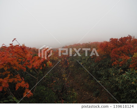 10月上旬的栗駒山(岩手縣一關市、宮城縣栗原市、秋田縣東成瀨村) 10月上旬的栗駒山(岩手縣一關市、宮城縣栗原市、秋田縣東成瀨村) 139618124