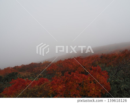 Mount Kurikoma in early October (Ichinoseki City, Iwate Prefecture; Kurihara City, Miyagi Prefecture; Higashinaruse Village, Akita Prefecture) Mount Kurikoma in early October (Ichinoseki City, Iwate Prefecture; Kurihara City, Miyagi Prefecture; Higashinaruse Village, Akita Prefecture) 139618126