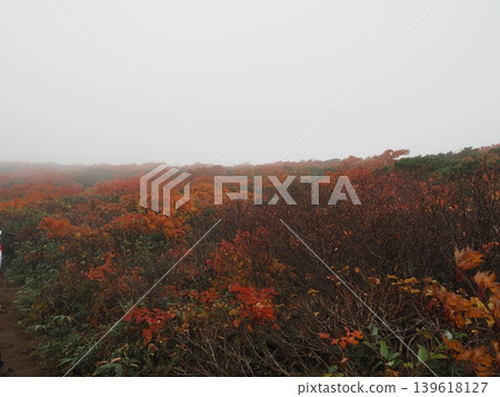 Mount Kurikoma in early October (Ichinoseki City, Iwate Prefecture; Kurihara City, Miyagi Prefecture; Higashinaruse Village, Akita Prefecture) Mount Kurikoma in early October (Ichinoseki City, Iwate Prefecture; Kurihara City, Miyagi Prefecture; Higashinaruse Village, Akita Prefecture) 139618127
