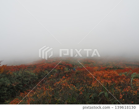 10月上旬的栗駒山(岩手縣一關市、宮城縣栗原市、秋田縣東成瀨村) 10月上旬的栗駒山(岩手縣一關市、宮城縣栗原市、秋田縣東成瀨村) 139618130