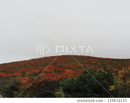Mount Kurikoma in early October (Ichinoseki City, Iwate Prefecture; Kurihara City, Miyagi Prefecture; Higashinaruse Village, Akita Prefecture) 139618135