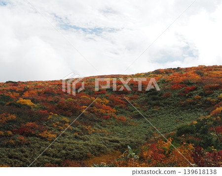 10月上旬的栗駒山(岩手縣一關市、宮城縣栗原市、秋田縣東成瀨村) 10月上旬的栗駒山(岩手縣一關市、宮城縣栗原市、秋田縣東成瀨村) 139618138
