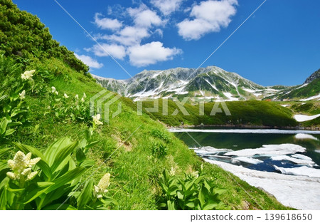 The breathtaking summer scenery of the Tateyama Alpine Mountains 139618650